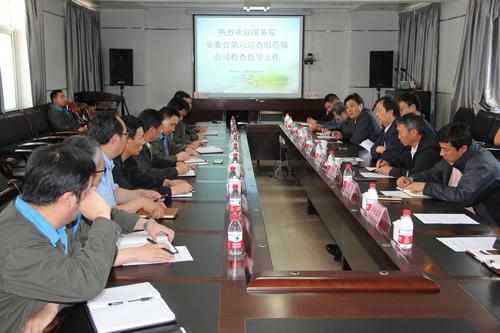 鐘晉陽(yáng)：國務(wù)院安委會(huì )第六巡查組到青海青樂(lè )公司檢查指導工作1.jpg