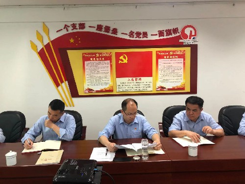 1-永安雙華公司吳泉艷：永安雙華公司黨支部開(kāi)展黨史學(xué)習教育專(zhuān)題黨課現場(chǎng)~1.jpg