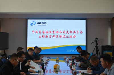 格式工廠(chǎng)青海東諾公司 張玉�?主題教育匯報會(huì )議1.jpg
