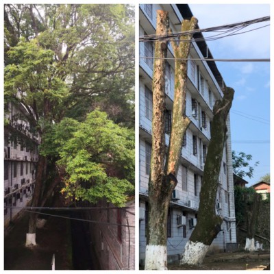 烽林崔愛(ài)新：海峽科化烽林分公司黨委多措并舉推進(jìn)“我為群眾辦實(shí)事”活動(dòng)落地見(jiàn)�?.jpg